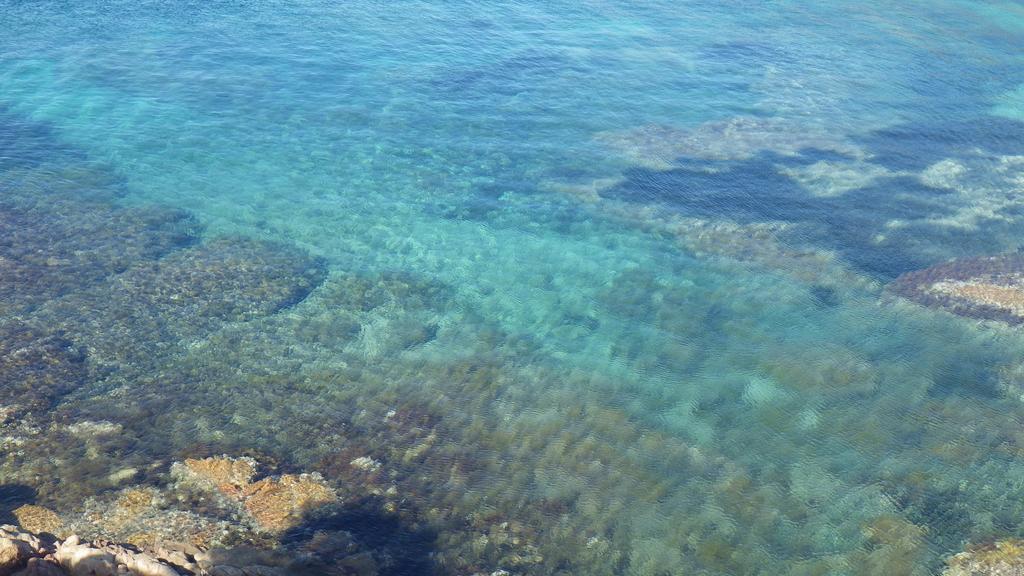 Hotel Du Golfe Pinarello Pinarellu المظهر الخارجي الصورة